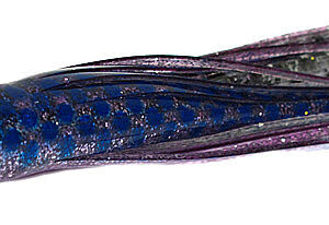 Microbait Beast - Imagen 9